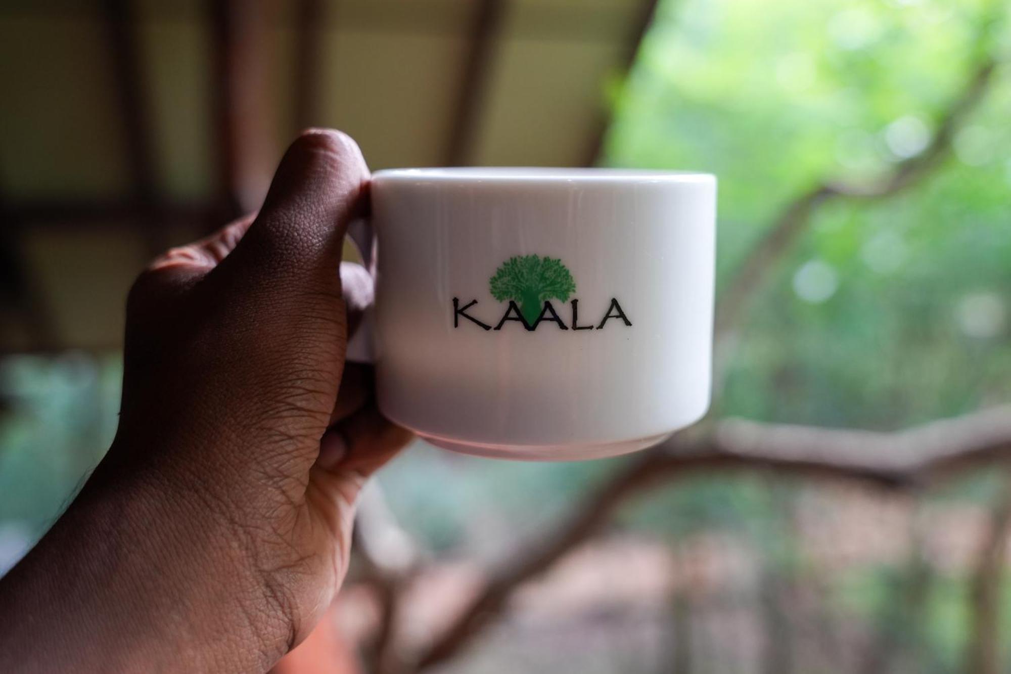 Kaala Kalaththewa Luxury Eco Resort أنرادابورام المظهر الخارجي الصورة